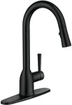 Moen 87233BL Adler One-Handle High 