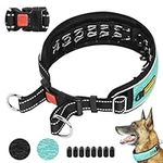 Martingale No Pull Dog Collar for L