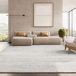 SAFAVIEH Area Rug 9x12 - Adirondack Collection - Large - Ivory & Silver, Modern Ombre Design, Non Shedding & Easy to Clean, Ideal for Living Room, Bedroom, Office, Dining Space (ADR113B)