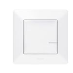 Legrand Light Switch