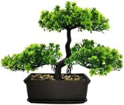 Artificial Bonsai Tree Juniper Faux