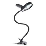 Desk Lamp With Illuminated Magnifiers