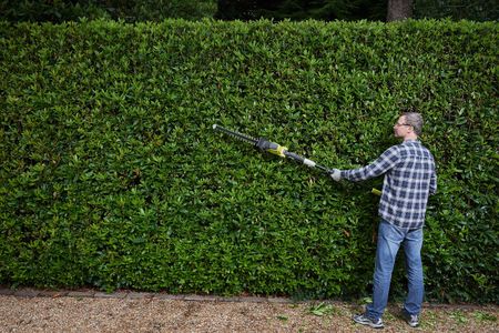 RYOBI ONE+ 18V Pole Hedge Trimmer – Cordless Garden Tool