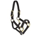 Intrepid International Nylon Miniature Horse Halter, Black, Mini