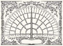 Palace Learning 1 Pack - Family Tree Chart To Fill In - 6 Generation Genealogy Poster - Blank Fillable Ancestry Chart [Version 1] - 18" x 24"