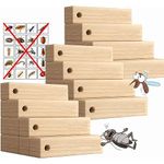 Better Insect Repellent than Cedar Balls 28 PCS Moth Protection Storage Essentials Fresh Cinnamomum Camphora,Camphor wood strips(10*2*1cm),Root for Closet Storage,longer lasting effect,Repelling Clothes Moths and Other Pests