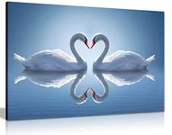 Panther Print, Canvas Wall Art, Framed Pictures for Bedroom, Blue Living Room Accessories, Two Swans Make Up a Heart Reflected on Water, Prints for Special Occasions (24x16 Inch)