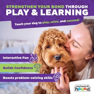 Outward Hound Challenge Slider Dog Puzzle Toy – Interactive Treat Game