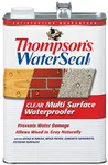 Thompson's TH.024101-16 Waterseal Clear Multi-Surface Waterproofer, gallon