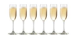 Ash & Roh® Stylish Wine Glass,Compatible as Champagne Glass with Stem Stylish and Unique Wine Glass, Long Champ 170 ML (6 Pack)