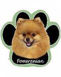 Pomeranian Dog Paw Non-Slip Mousepad