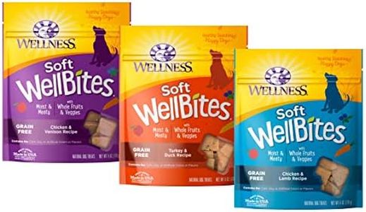 Wellness S