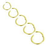 Body CAC 5PCS-20G(0.8mm) Gold Hinged Clicker Titanium Nose Ring Hypoallergenic Titanium Full Hoops, Implant Grade Clasp Segment Sleeper Seamless Earrings Helix Piercing For Women