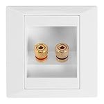 Juwacoo Dual Jack Speaker Wall Socket Connection Port with Corrosion-Resistant Gold-Plated Connectors and in-Built Wire Hole, Speaker Wall Plate Speaker Connectors, White