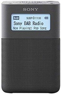 Sony Xdr-V20D - Radiosveglia Portatile con Speaker Fm/Dab/Dab+, Nfc, Grigio