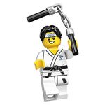 LEGO Series 20 Martial Arts Boy Minifigure 71027 (Bagged)