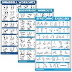 QuickFit 3 Pack - Dumbbell Workouts + Bodyweight Exercises + Stretching Routine Poster Set - Set of 3 Workout Charts (Laminated, 18" x 27")