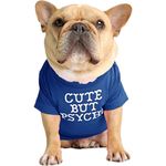 KUTKUT Pet Dog Breathable Stretchy Round Neck T-shirt Cute But Psycho Small Dog Cats Summer Cooling Soft Cotton Tshirt | Pug,French Bulldog Dog Shirt (SIZE: XL, Chest: 53cm, Length: 35cm)