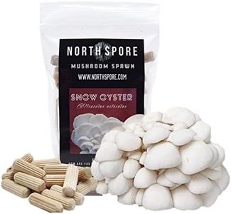 North Spore Organic Snow Oyster (100 ct) Mushroom Plugs for Logs | Premium Quality Mushroom Plug Spawn | Handmade in Maine, USA | Grow Gourmet Mushrooms Outdoors on Logs