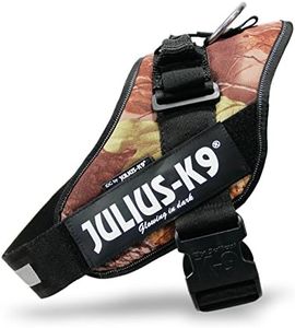 Julius-K9 