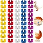 MEISO 100pcs Chicken Leg Rings, 5 Colors Numbered Chicken Leg Bands, 20mm Colorful Poultry Identification Leg Bands, Plastic Clip on Chicken Foot Ankle Rings Tags for Ducks Pigeons Goose Gamefowl