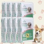 PetaHouse Basil 15 Super Absorbent Training Pee Pads with Leak Proof (Size - XL & 60x90 Cms) for All Pets Dogs, Puppy, Peeing Toilet Trainer Mats, Potty Pads- Pack of 8