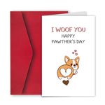 Ulbeelol Cute Fathers Day Card for Dog Lover, Dog Dad Card, Funny Fathers Day Card, Pawthers Day Card, Rude Dog Dad Card, Fathers Day Card from Dog