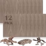 12 Pcs Walnut Unfinished Wood Craft, 12 x 12 x 1/8 Inch - 3mm Thick Walnut Unfinished Plywood for Laser Cutting & Engraving, School DIY Projects, Painting, Fretwork, CNC Cutting, and Wood Burning