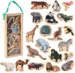 Steventoys Refrigerator Magnets for