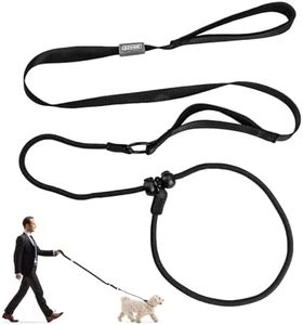 Laisse de dressage pour chien avec collier coulissant en caoutchouc réglable de 1,7 m en nylon anti-explosion, anti-enchevêtrement, poignée confortable, noir