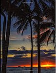 Large Notebook: 150 Page Wide Rule Lined Composition Book : Letter Size (8.5 x 11) : Hawaiian Palm Tree Sunset