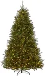 National Tree Company 9 ft Pre-Lit 