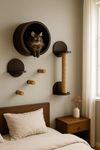 House of Meows Feline Haven Wall Kit/Wall Mount/Activity Wal Furniture for Climbing Cats/Cat Bed (Cushion not Included) (Dark Brown)