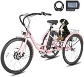 Viribus Electric Tricycle for Adult