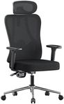 Hbada P3 Pro Ergonomic Office Chair with 2D Adjustable Lumbar Support, 3D Adjustable Headrest and Armrest, 135° Stepless Tilt Function, Black