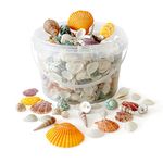 Rainbow Eco Play Sea Shells, Mixed Seashells Approx. 450pcs, Natural Shells for Crafting, Real Beach Shells, Decorative, Arts and Crafts, Vase, Aquarium, Fish Tank, Home Décor