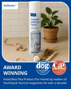 Virbac Indorex Defence Spray 2-Pack – Household Flea Control