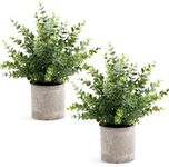 Coferset 2 Pack Small Fake Plants 1