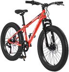 Ecarpat Mountain Bike 24 Inch Wheel