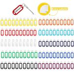 BirdFactor 100 Pcs Key Tags with Labels, 10 Colors Key Fobs with Split Rings & Extra Labels for Keys, Key Ring Rings with Tags for Luggage, Pet Name and Office Key Labels, Paper Card Stick Tags