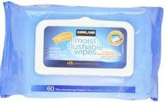 Kirkland Signature Moist Flushable Wipes 60 Pre-moistened Wipes for The Entire Family