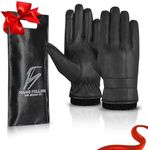 Leather Gloves Winter for Men, Touc