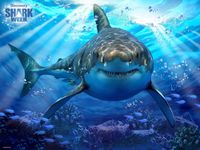 Super 3D - Shark Week - Great White Shark Lenticular Puzzle - 500 Pieces