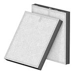 MORENTO Genuine Air Purifier Replacement Filter, True HEPA Filter Compatible with MR5866 for 99.97% Air Pollutants, Odor and Smoke, Enhanced Version Matte White 2 Pack