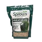 Nature Jims Sprouts Wheatgrass Seed