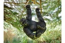 MAISONICA Large 66cm Climbing Gorilla Tree Hanging Garden Tree Ornament Statue Sculpture Decoration