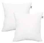 Throw Pillow Inserts