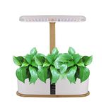 RoseFlower 10 Pods Hydroponics Growing System Smart Indoor Garden Planter, Herb Garden with LED Grow Lights, Countertop Hydroponic Plant Growing System