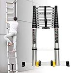 Tallest 6m / 20ft Telescopic Ladder