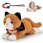 Realistic Cat Dementia Products for